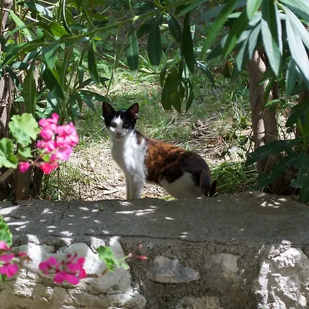 Apartamento Pantheon Nikiana